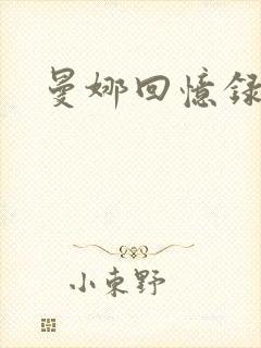 曼娜回忆录小说