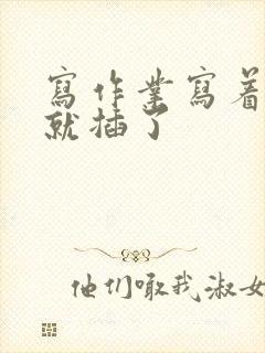 写作业写着写着就插了