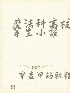 魔法科高校的劣等生小说