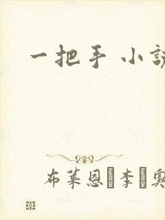一把手 小说
