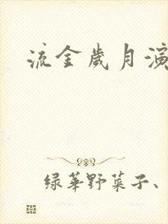 流金岁月演员表