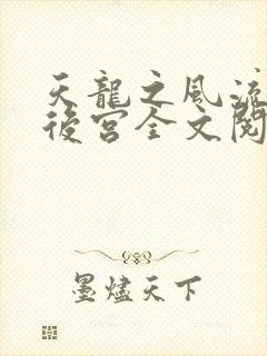 天龙之风流猎艳后宫全文阅读