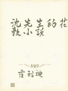 沈先生的花式管教小说