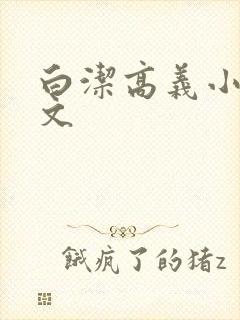 白洁高义小说全文