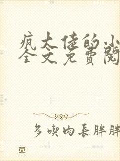 疯大佬的小玩物全文免费阅读小说