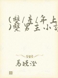 (双/产/年上)双男主小说