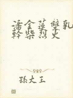 潘金莲双乳晃动干柴烈火封面