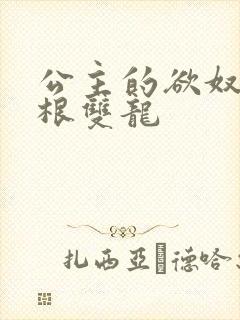 公主的欲奴h四根双龙