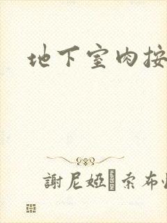 地下室肉按摩椅