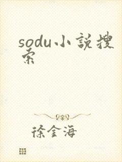 sodu小说搜索封面