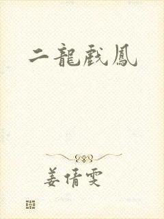 二龙戏凤封面
