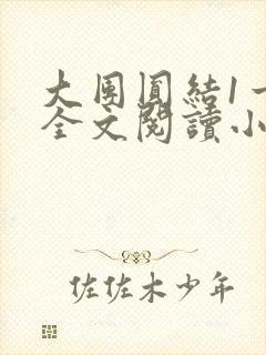 大团圆结1一6全文阅读小说