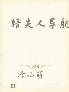 精夫人导航