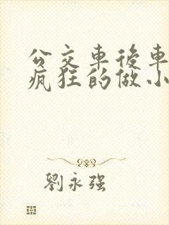 公交车后车座的疯狂的做小