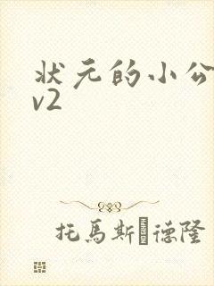 状元的小公主1v2