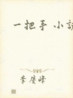 一把手 小说