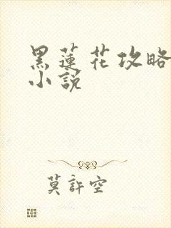 黑莲花攻略手册小说