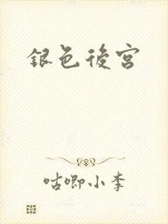 《银色后宫》小说封面