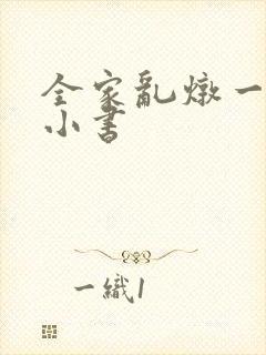 全家乱炖一锅烩小书