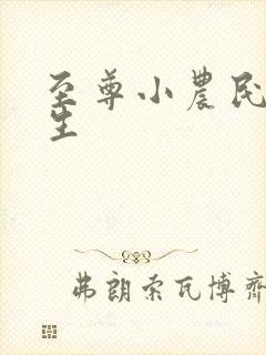 至尊小农民王木生