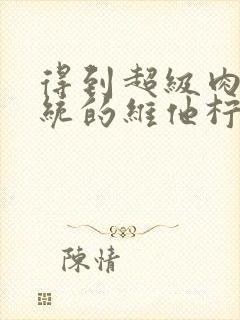 得到超级肉禽系统的维他柠檬茶