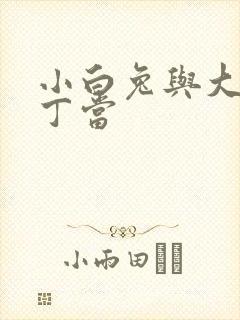 小白兔与大灰狼丁当