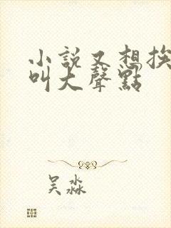 小说又想挨C了叫大声点