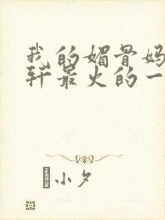 我的媚骨妈妈林轩最火的一句