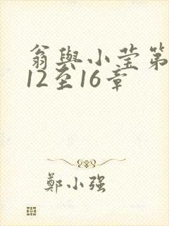 翁与小莹第十部12至16章