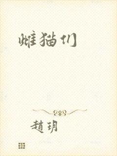 雌猫们