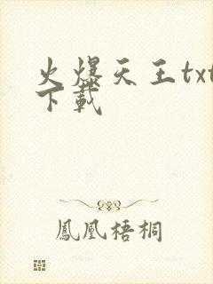 火爆天王txt下载