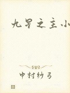 九星之主小说
