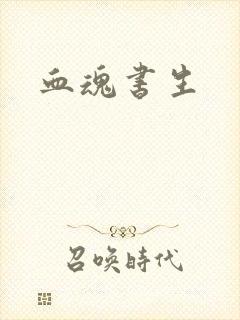 血魂书生