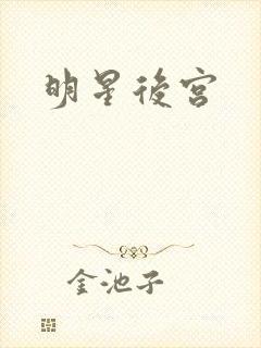 明星后宫