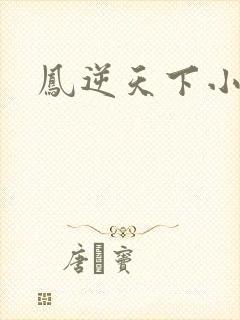凤逆天下小说