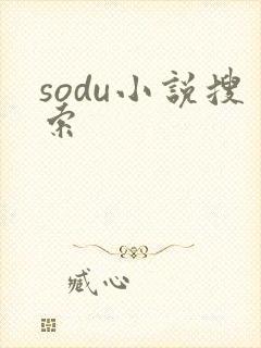 sodu小说搜索
