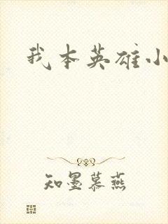 我本英雄小说