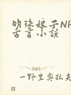 明珠娘子NPC古言小说
