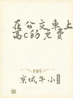 在公交车上弄到高c的免费