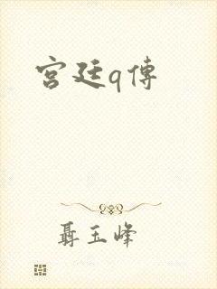 宫廷q传