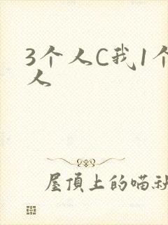 3个人C我1个人
