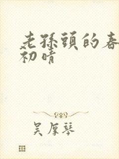 老孙头的春天林初晴