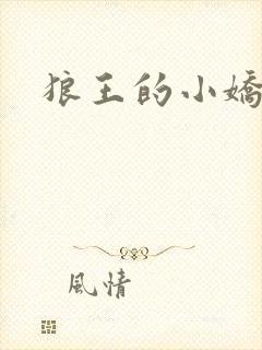 狼王的小娇妻