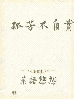 孤芳不自赏小说