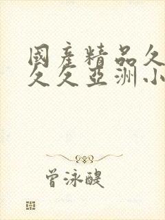 国产精品久久久久久亚洲小说