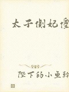 太子侧妃傻乎乎