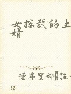 女总裁的上门女婿