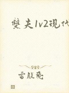 双夫1v2现代