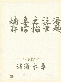 娇妻之泛海之舟许晗怡笔趣阁