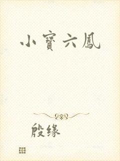 小宝六凤